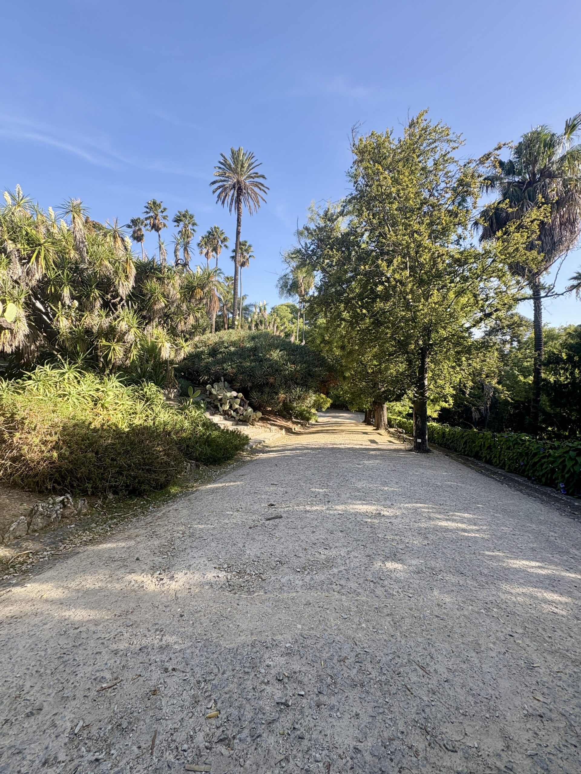 隐藏在普通视线中：里斯本的植物园