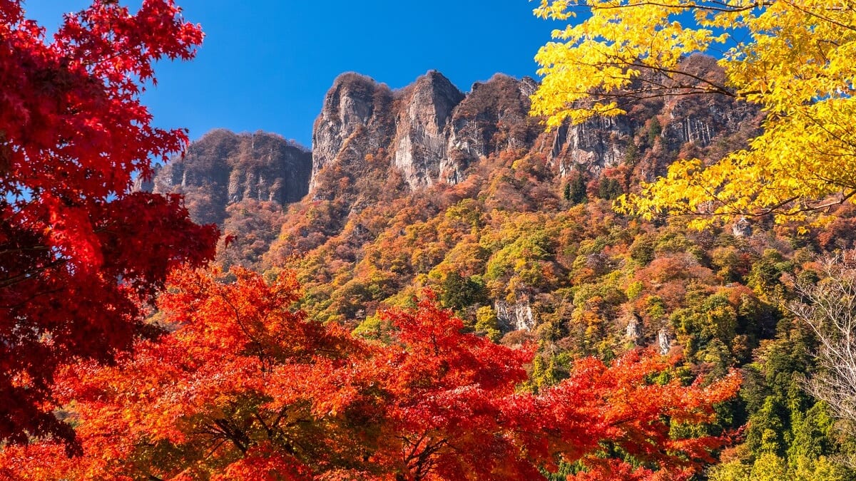 Tomioka的12个旅游景点：享受世界遗产和复古街道