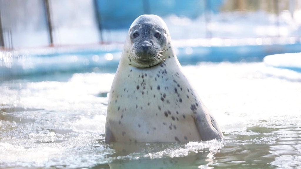 永远不要摘下！您可以和孩子一起享受的10个观光景点