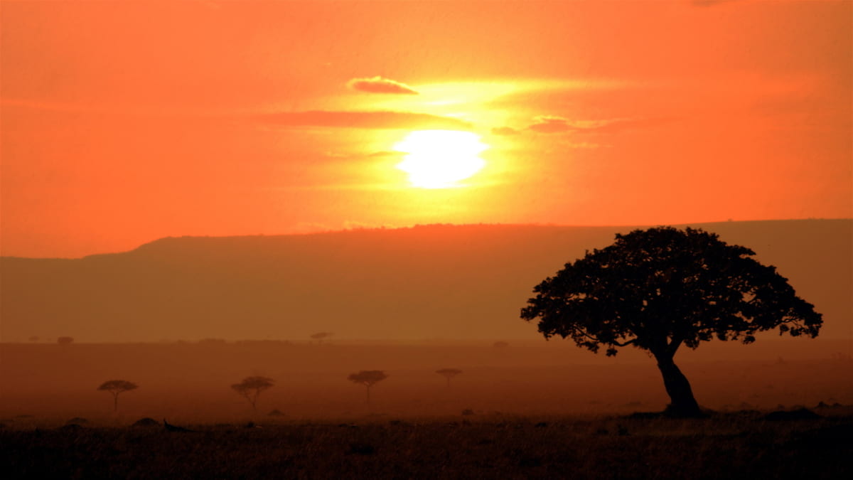 美丽的大自然和野生动植物正在等待！肯尼亚的5个推荐旅游景点