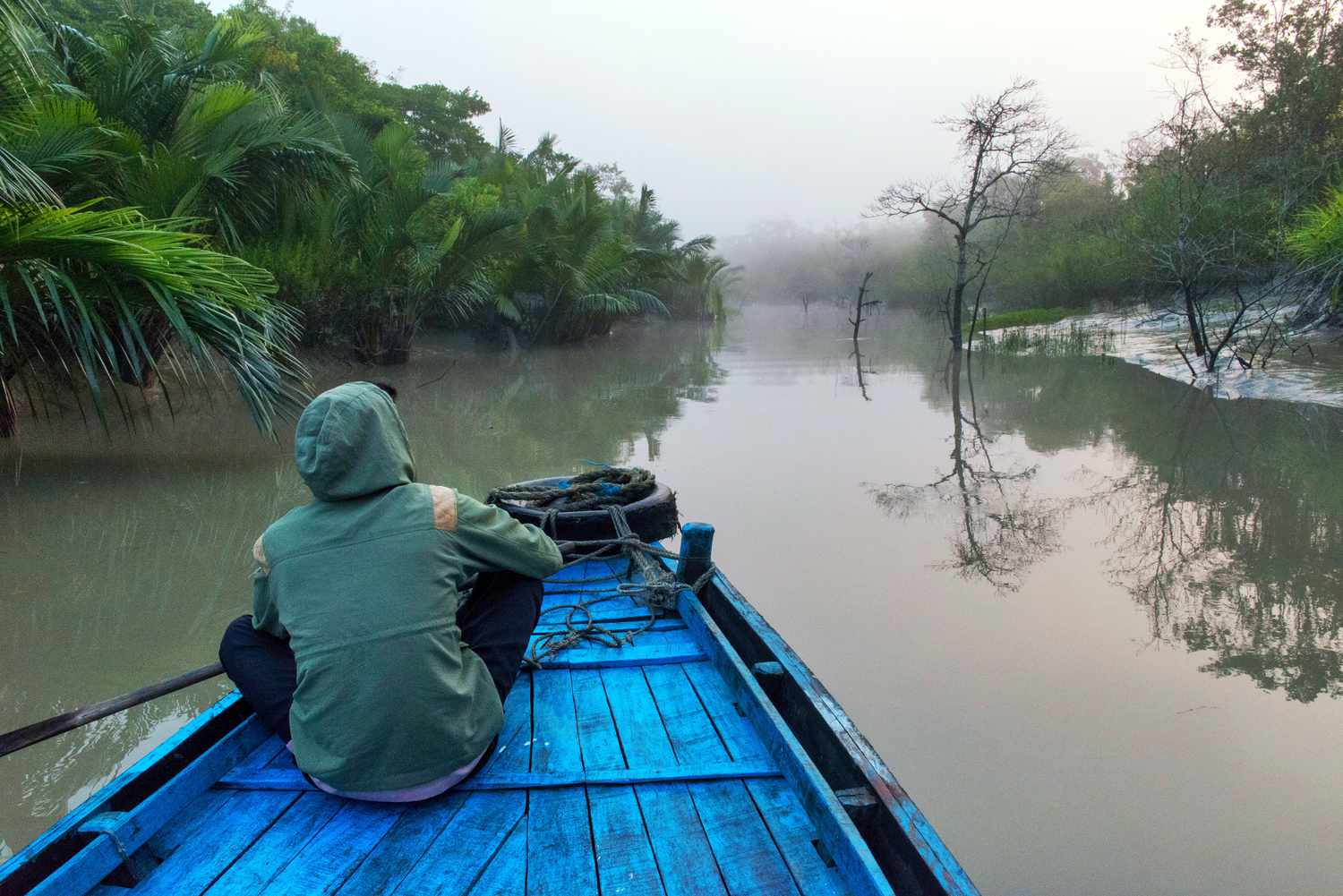 7个顶级Sundarban旅行社和包裹