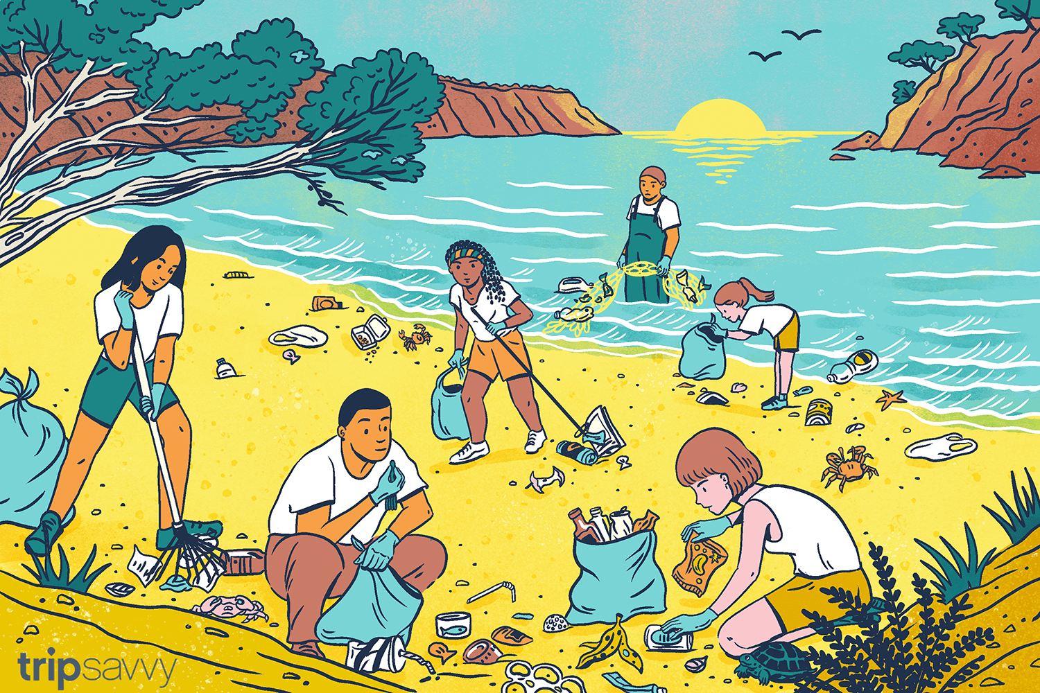 領養的海灘：一個西班牙島如何保護其海岸