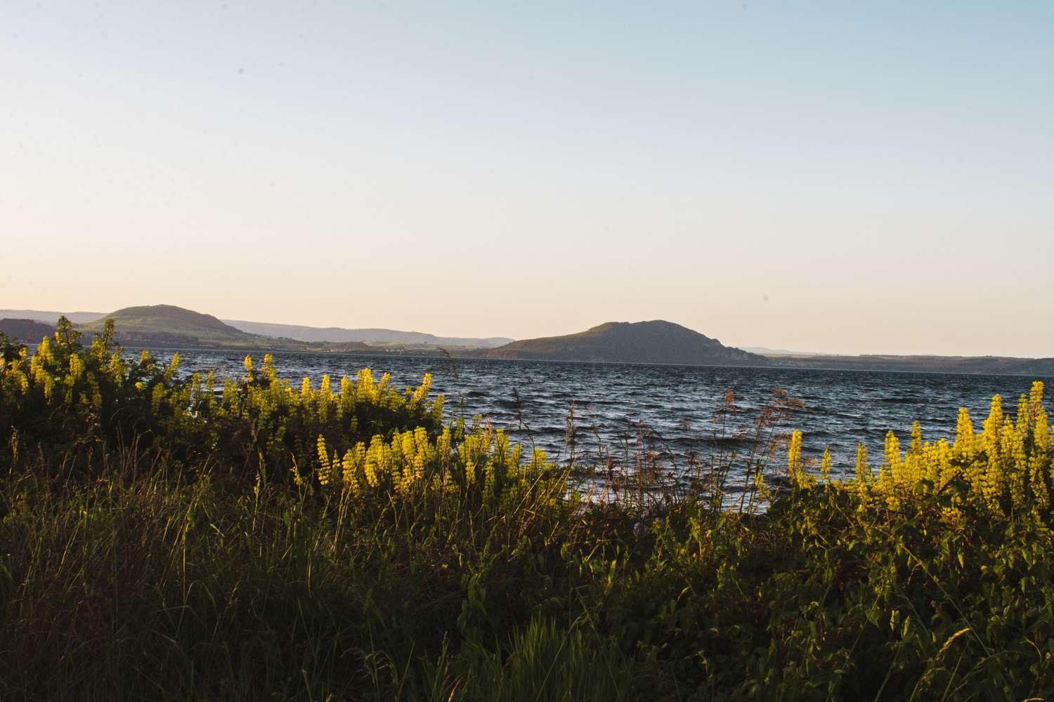 在新西兰陶波（Taupo）要做的十大事情
