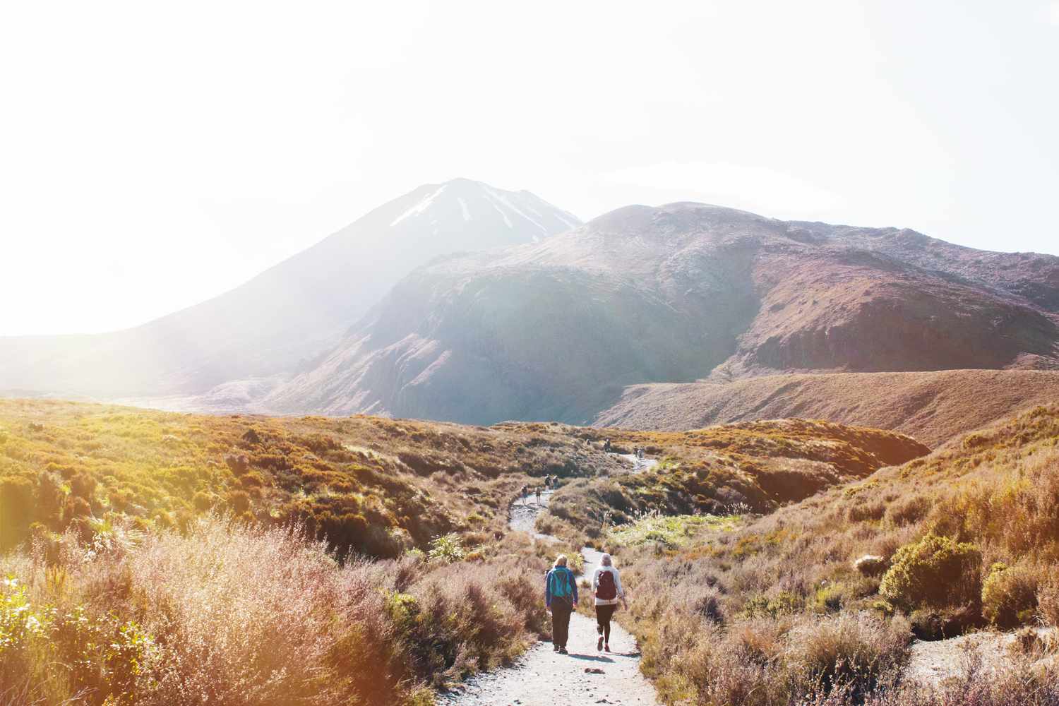 Tongariro高山交叉：完整的指南