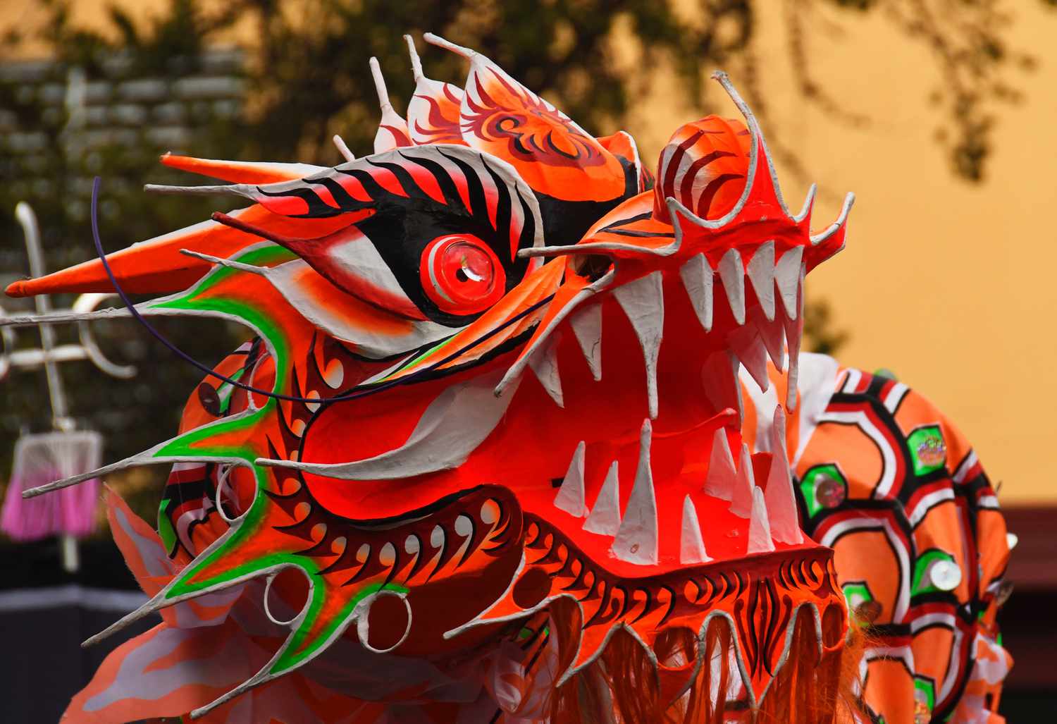 西雅图农历新年指南：节日，活动，要做的事情