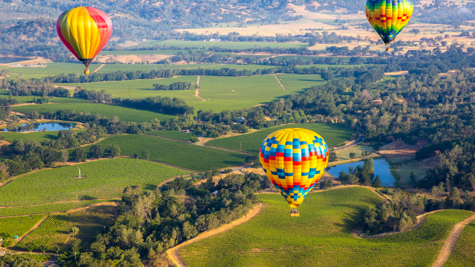 加州最受欢迎的葡萄酒产区遍布葡萄园和风景