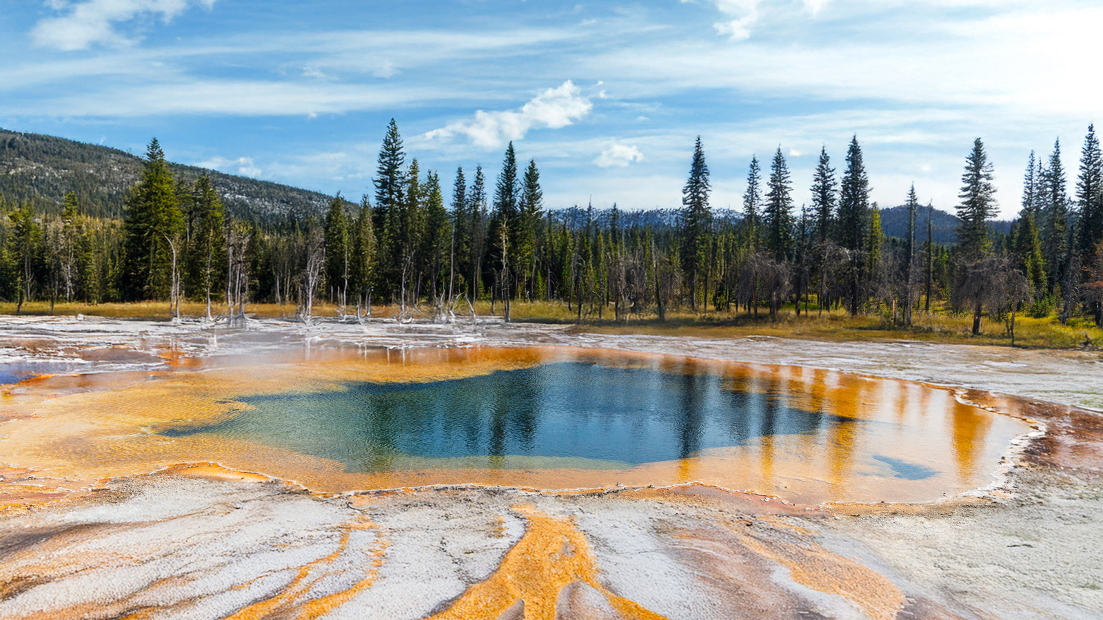 2026年外国游客去美国国家公园要注意什么